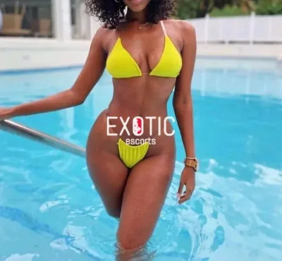 Lora